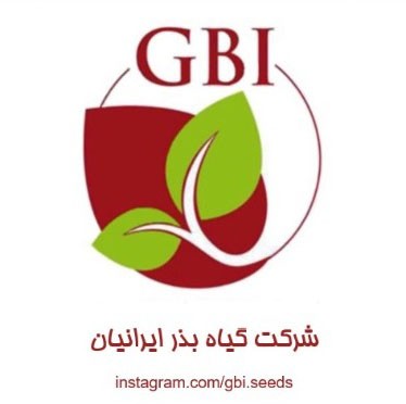 گیاه بذر ایرانیان