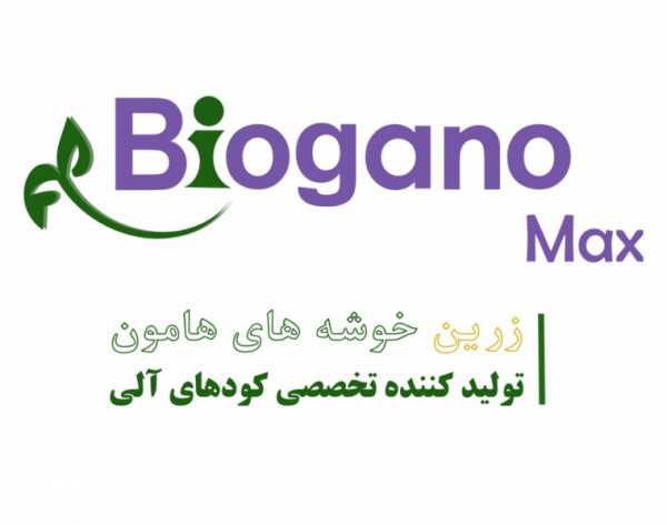 زرین خوشه هامون