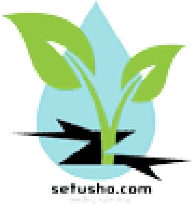 نهالستان کاظمی