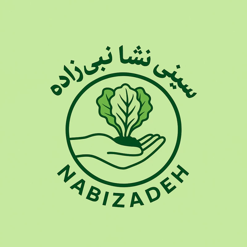 تولیدی سینی نشا نبی زاده