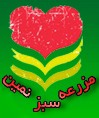 مزرعه سبز نمین