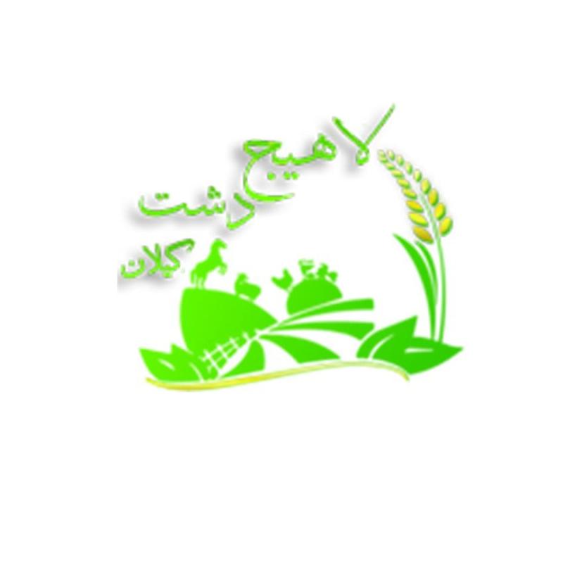 لاهیج دشت گیلان