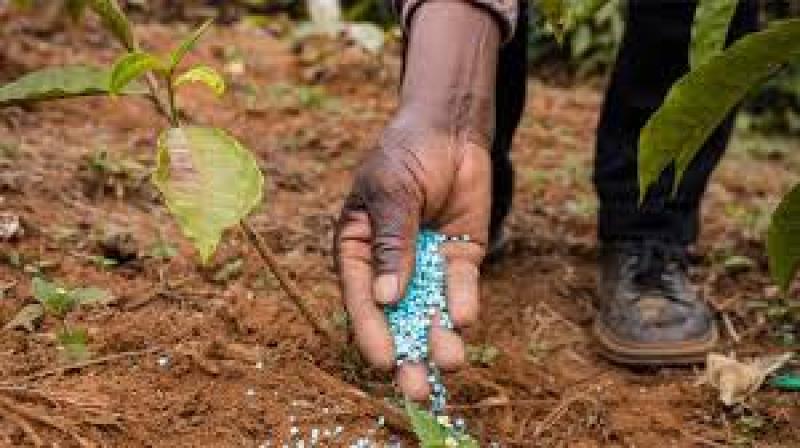 کود پتاس چیست؟ | خرید کود پتاس