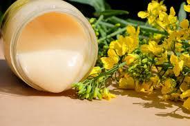 تاثیر روش‌های مختلف برداشت بر کیفیت دانه ارقام کلزا