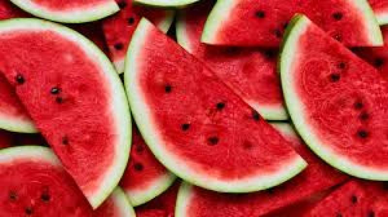 خرید انواع بذر هندوانه