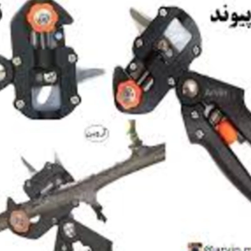 کاملترین آموزش شیوه های پیوند زدن درختان میوه