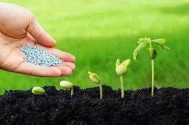 کود های زیستی دوستدار محیط زیست