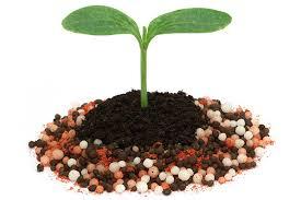 کود شیمیایی سیاه چیست؟ زمان و نحوه مصرف