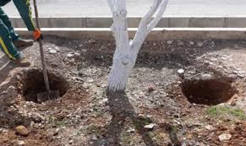 چگونگی اجرای روش کانال کود در باغ های با تراکم زیاد