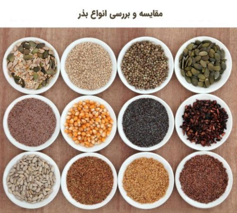 مشخصات بذر سالم