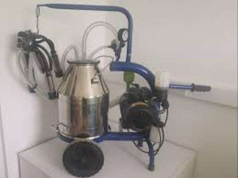 خرید شیردوش گاو ( گاو دوش )