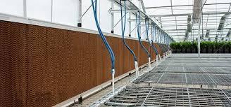 خرید پد گلخانه- قیمت پوشال گلخانه