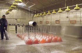 انواع ضدعفونی کننده صنعتی [بررسی انواع شوینده صنعتی]