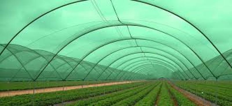 مهم‌ترین کاربرد توری‌های گلخانه ضد حشره