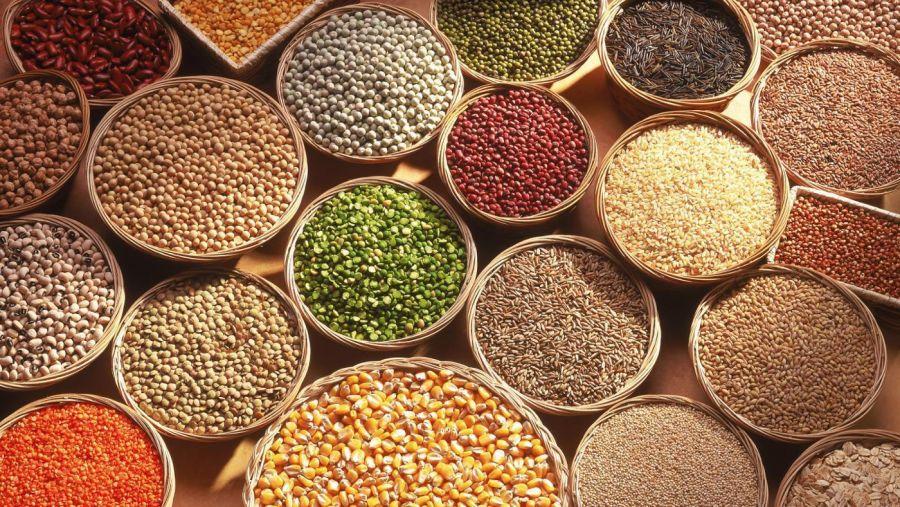 کیفیت بذر