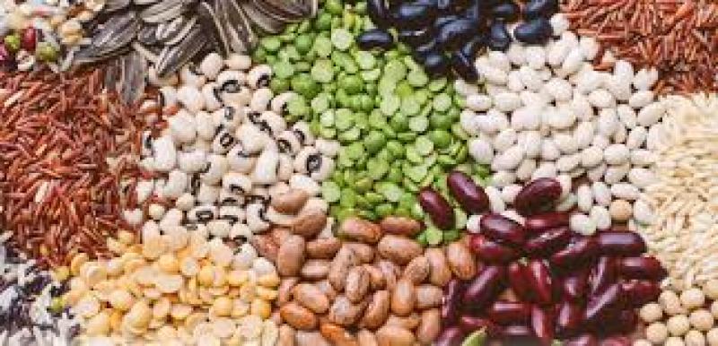 برای خرید بذر باکیفیت چه کنیم؟