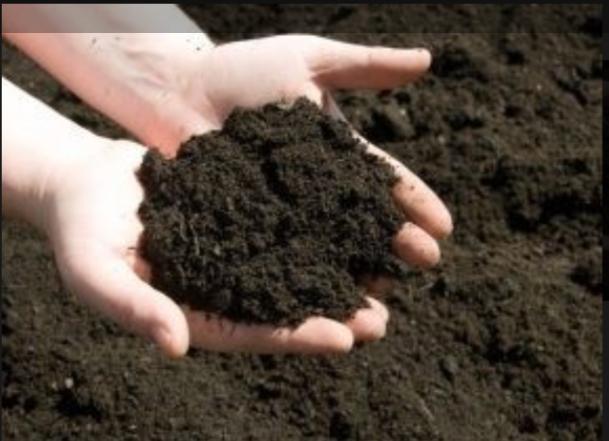 تاثیر کود ورمی کمپوست برسبزیجات
