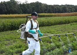 علف کش ها چه هستند ؟