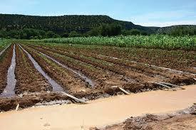 انتخاب روش های آبیاری در کشاورزی