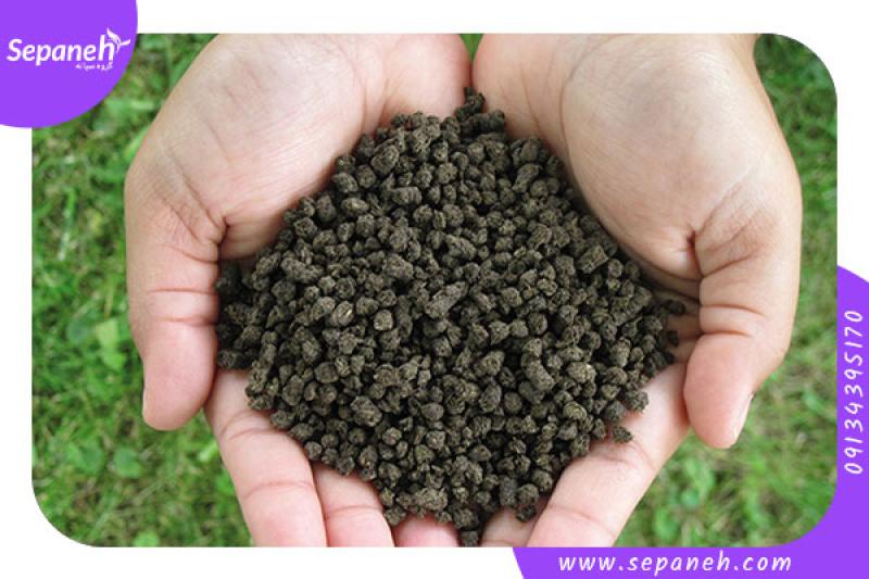 کود آلی چیست؟ معرفی انواع کود آلی