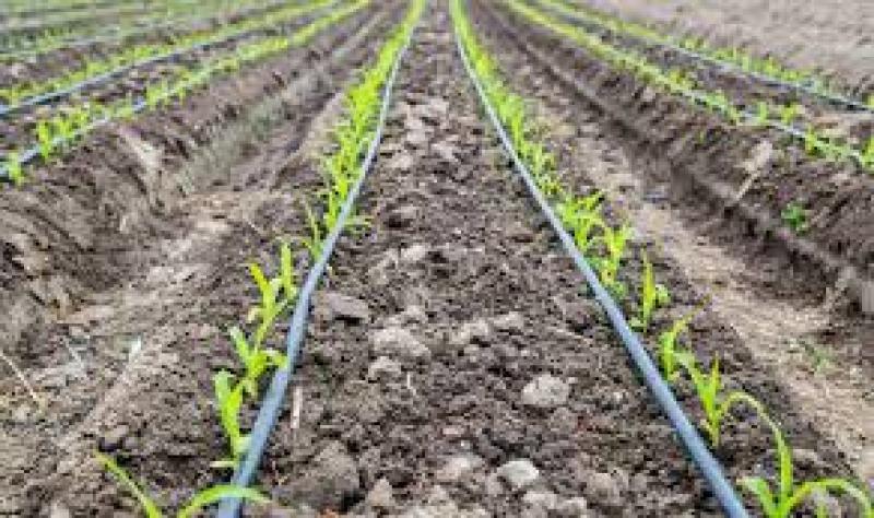 مزایا و کاربرد های آبیاری قطره ای