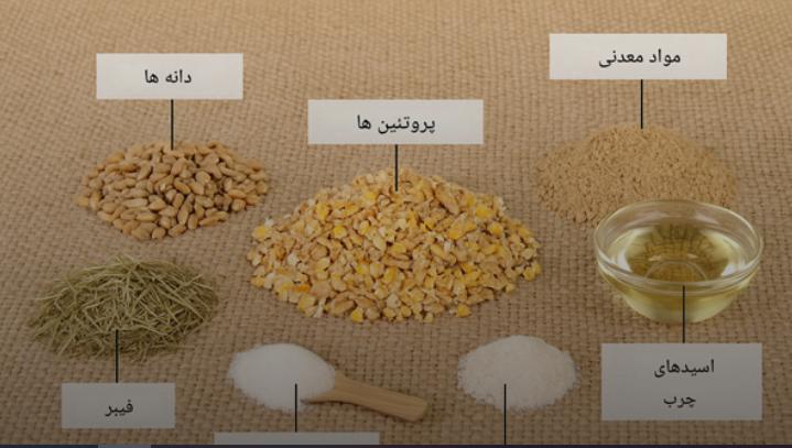 انواع خوراک دام و تفاوت‌های آن‌ها
