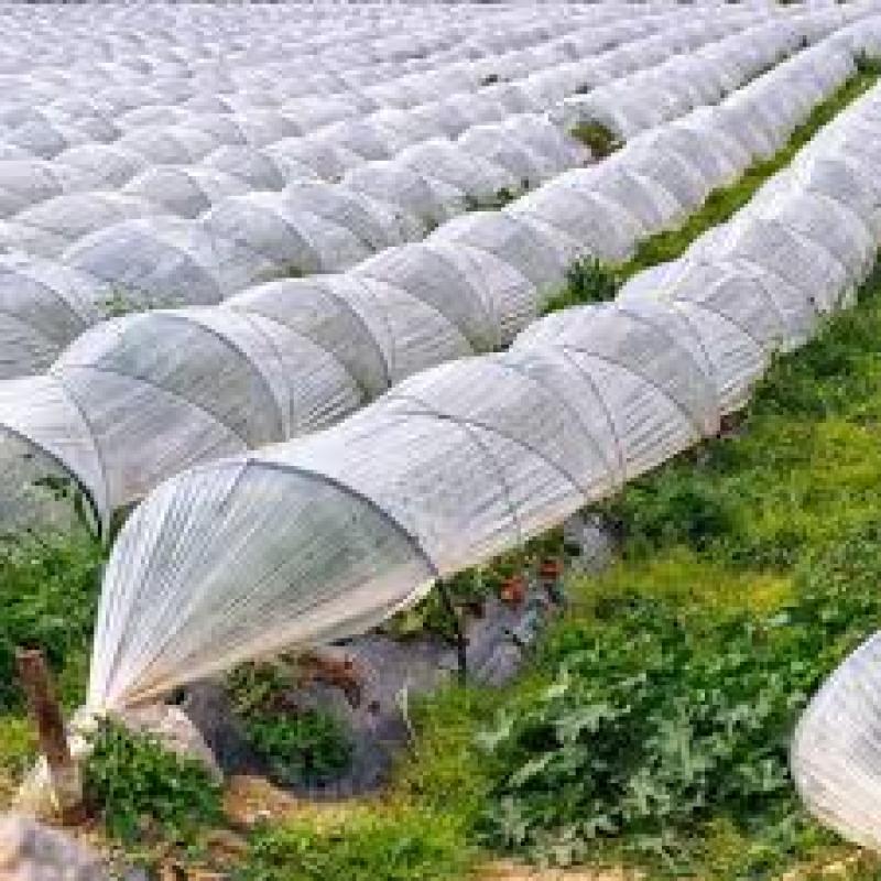 نایلون گلخانه‌