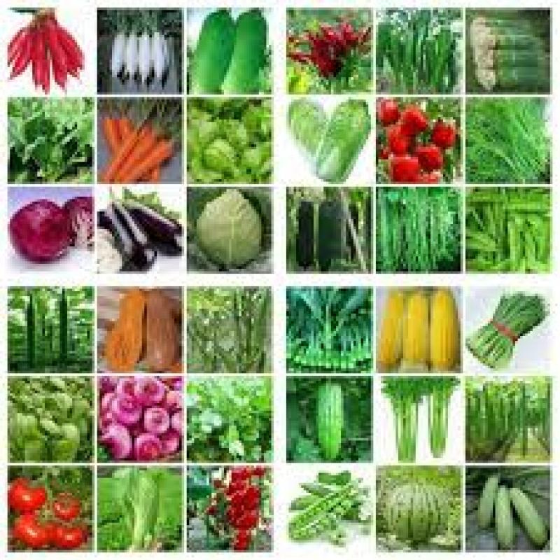 انواع بذر گل , سبزیجات