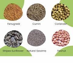 انواع بذر گل , سبزیجات انواع بذر گل , سبزیجات