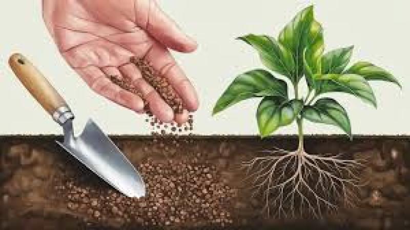 فواید اسید هیومیک