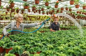 انواع آبیاری در گلخانه و تاثیر آن بر رشد گیاهان گلخانه ای
