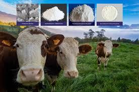 راهنمای خرید مکمل دامی