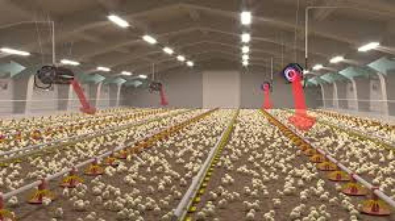 نحوه ساخت هیتر مرغداری