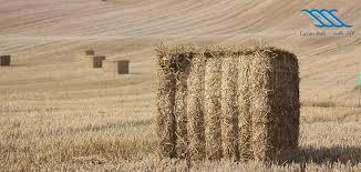 نخ تابیده چیست و چه کاربردی دارد؟