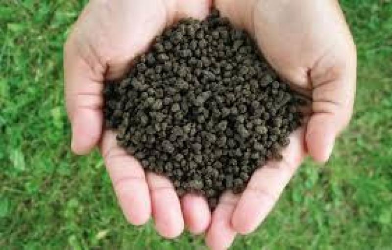 کود پتاس چیست؟ بررسی انواع، کاربردها و مزایای کودهای پتاسیم