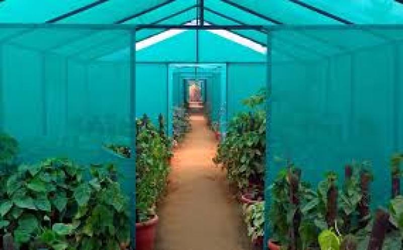 مزایا و معایب نصب توری سایه انداز گلخانه