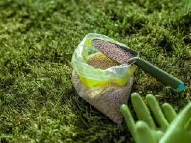 همه چیز درباره کودهای فسفر