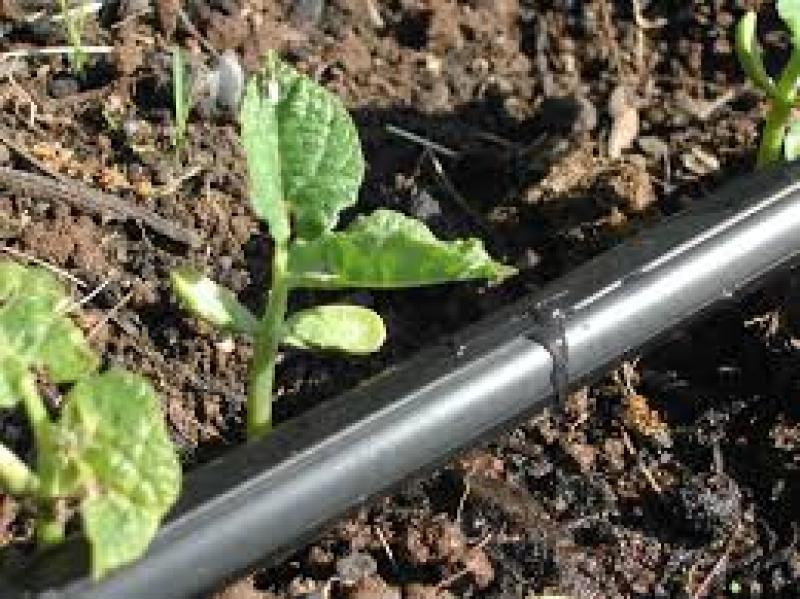 نوار تیپ آبیاری قطره ای