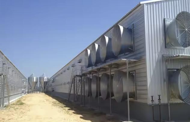 اصول تهویه در مرغداری