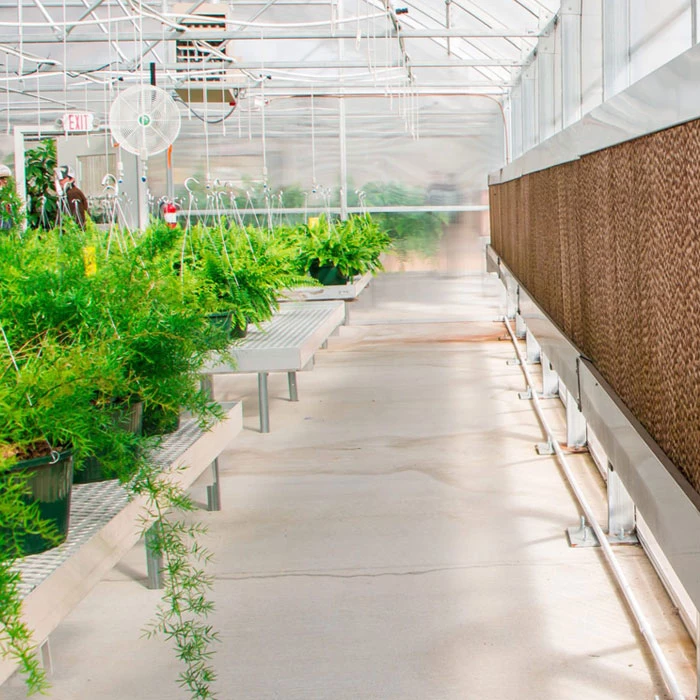 ضرورت استفاده از پد سلولزی در تجهیزات گلخانه ضرورت استفاده از پد سلولزی در تجهیزات گلخانه