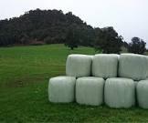 قیمت دستگاه سیلاژ بگر|فروش انواع دستگاه بسته بندی ذرت علوفه