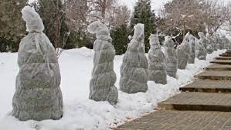 کارهای مهم باغداران در فصل پائیز