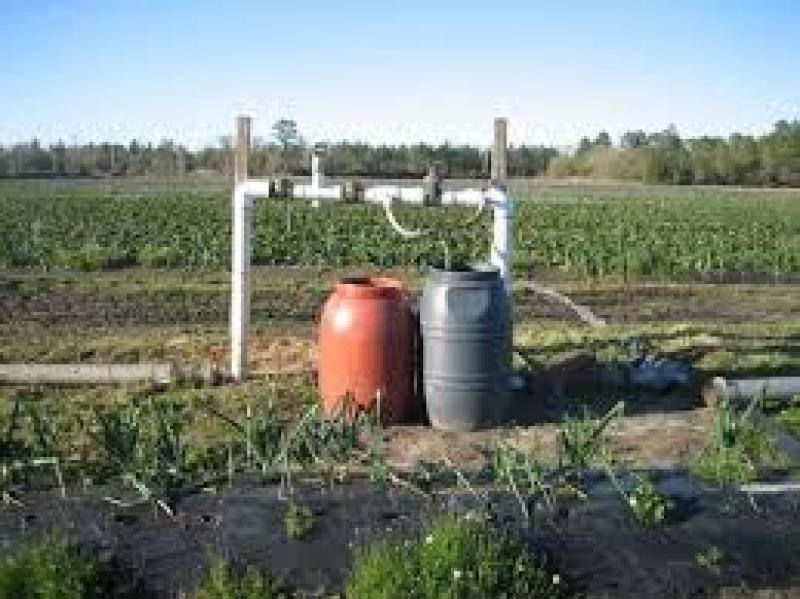 اسید هیومیک مایع