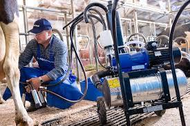 آموزش نحوه استفاده از دستگاه شیردوش برقی گاو