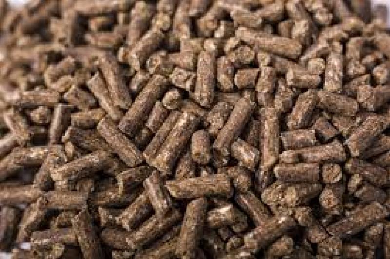 بهترین خوراک دام چیست؟