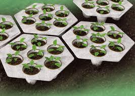 "سینی نشا" ???? قیمت سینی نشا + خرید نشا - بهمن 1404