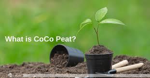 آشنایی با کوکوپیت ، یکی از بهترین بسترهای کشت در صنعت کشاورزی و باغداری