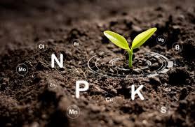 مزایای کودهای مایع در مقابل کودهای پودری