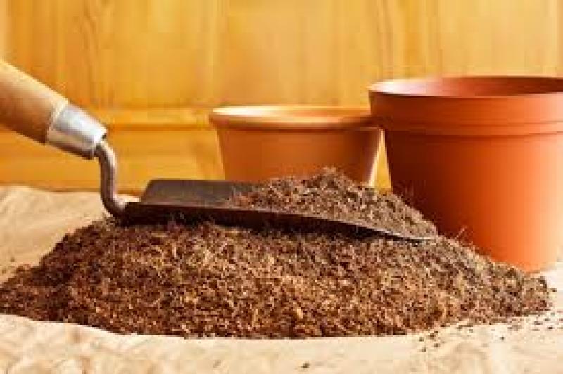 کوکوپیت ، مناسبترین بستر رویش بذر و نشاء