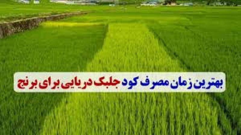 زمان مصرف کود جلبک دریایی